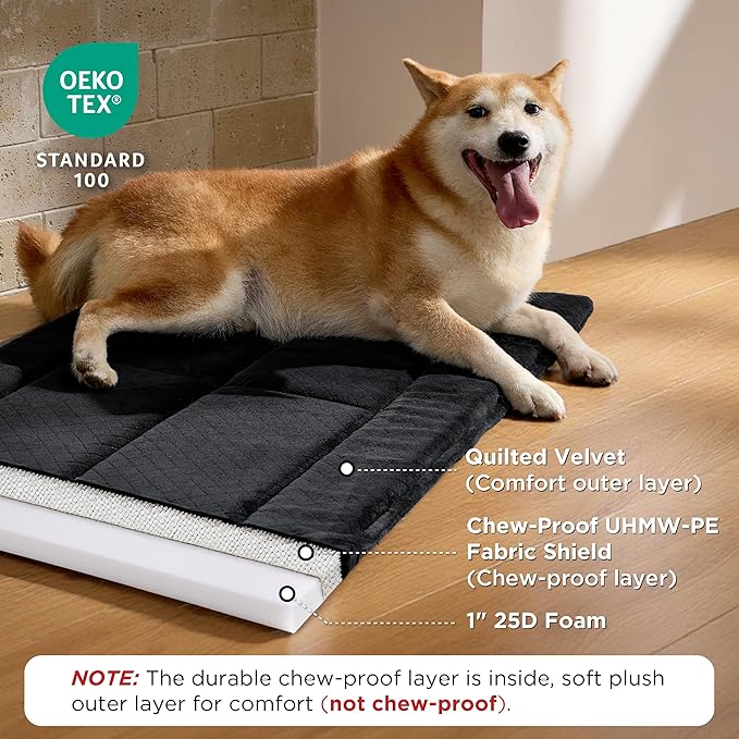 91Ap6kUCnTL._AC_SX679_