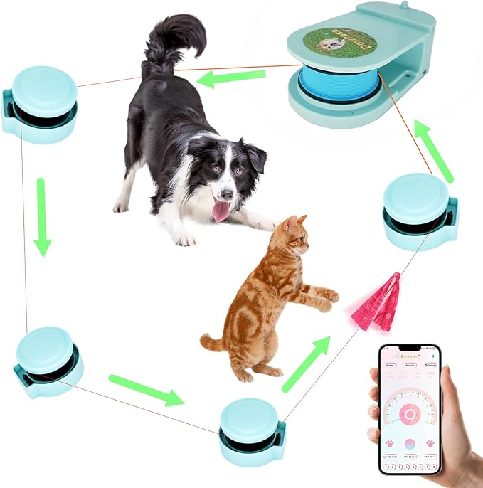 610Wj68arzL._AC_SX679_